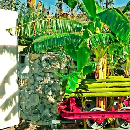 La Atalaya * Costa Adeje (Tenerife)