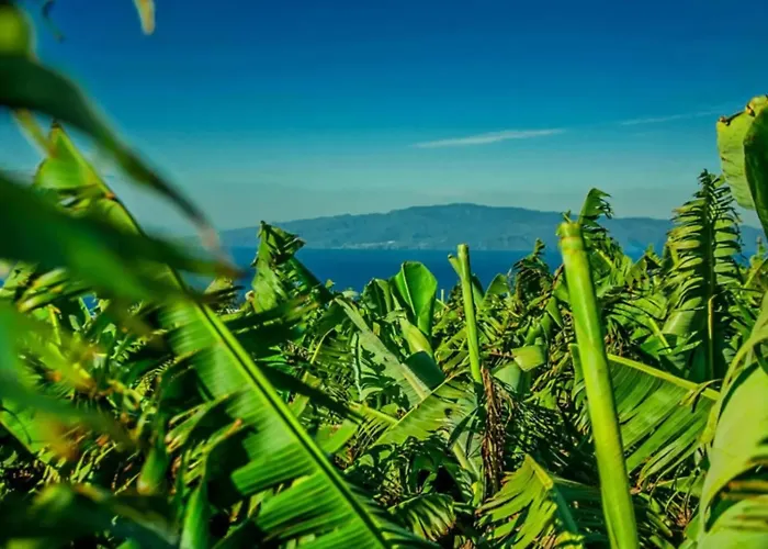 La Atalaya Дом отдыха