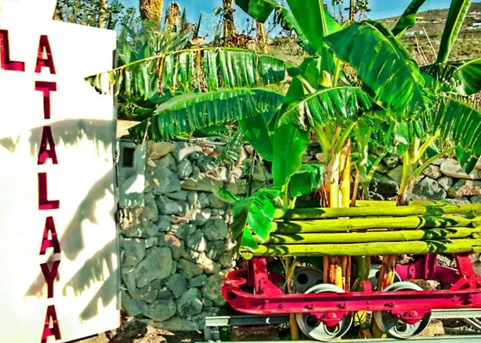 La Atalaya * Costa Adeje (Tenerife)